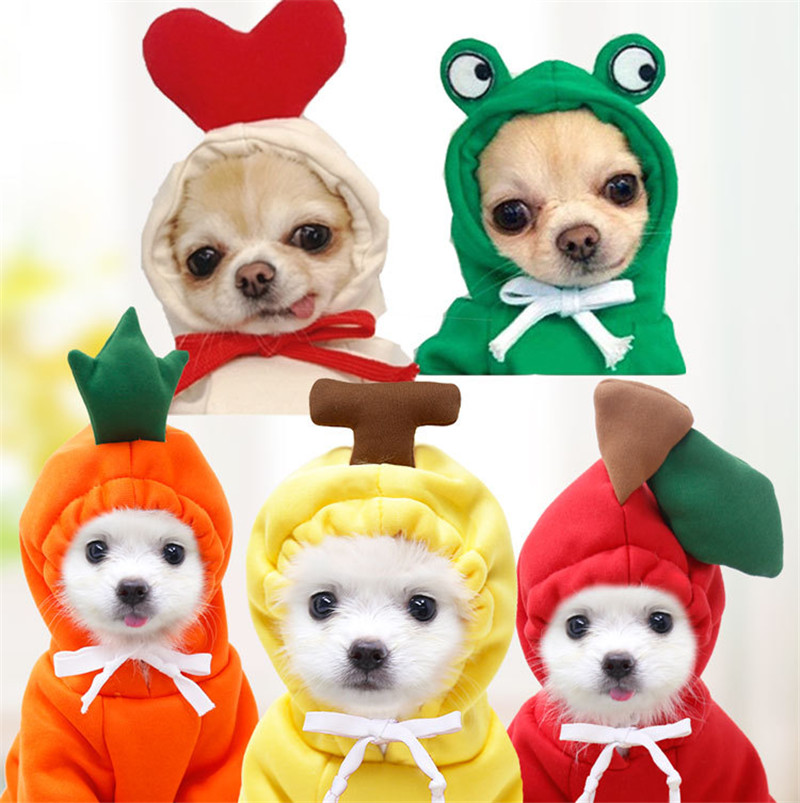 Winter Clothing Pictures - Roupas fofas de frutas para cães