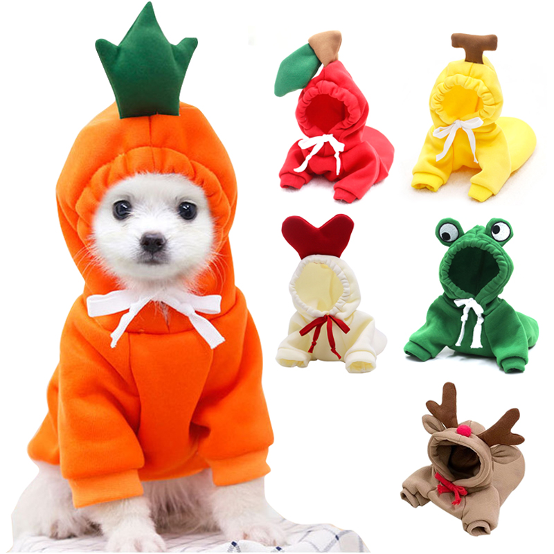 Roupas fofas de frutas para cã - Winter Clothing Pictures avaliação e preço