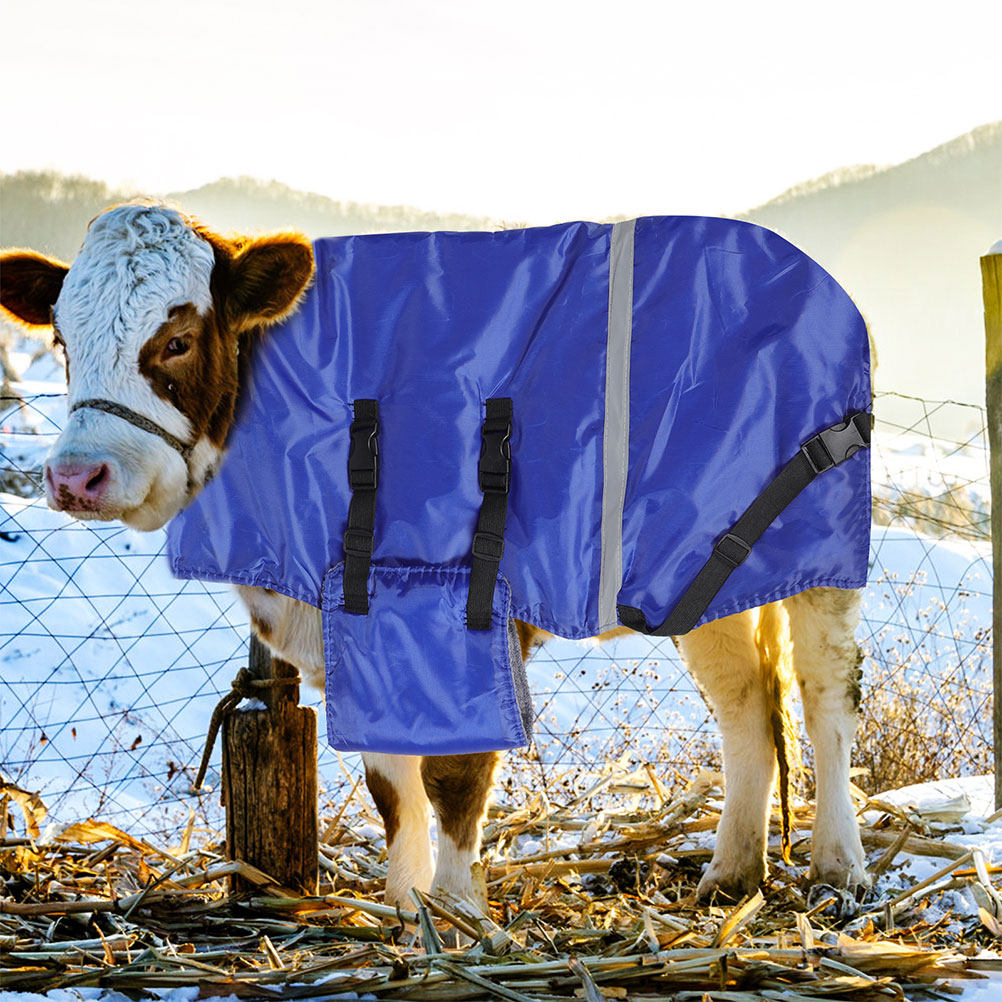 Manta Térmica Impermeável e Co - Winter Cloth avaliação e preço